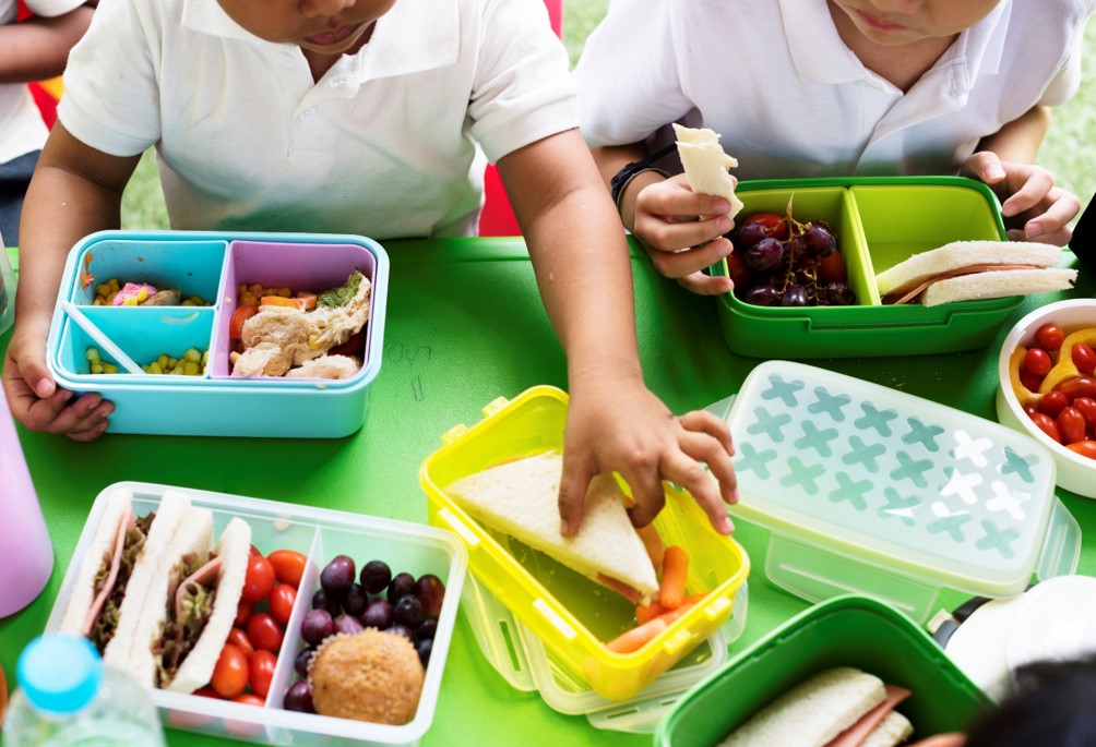 alergias alimentares na escola