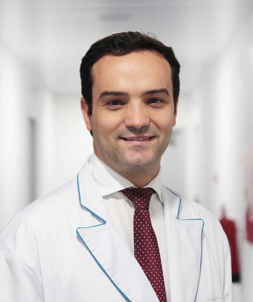 Rui Miguel Duarte, Prof. Dr.