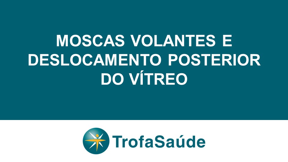 Moscas volantes