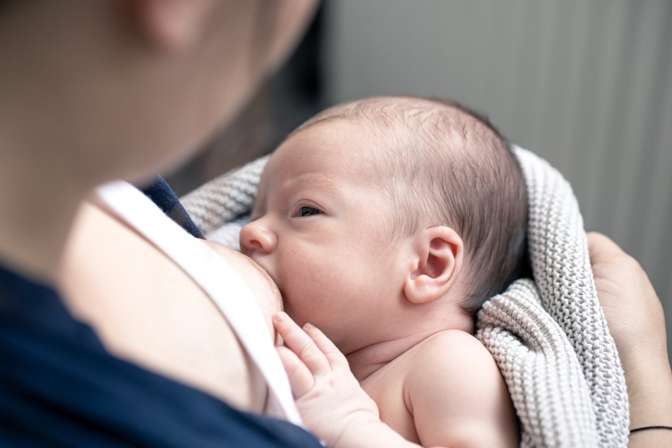 terapia da fala na neonatologia