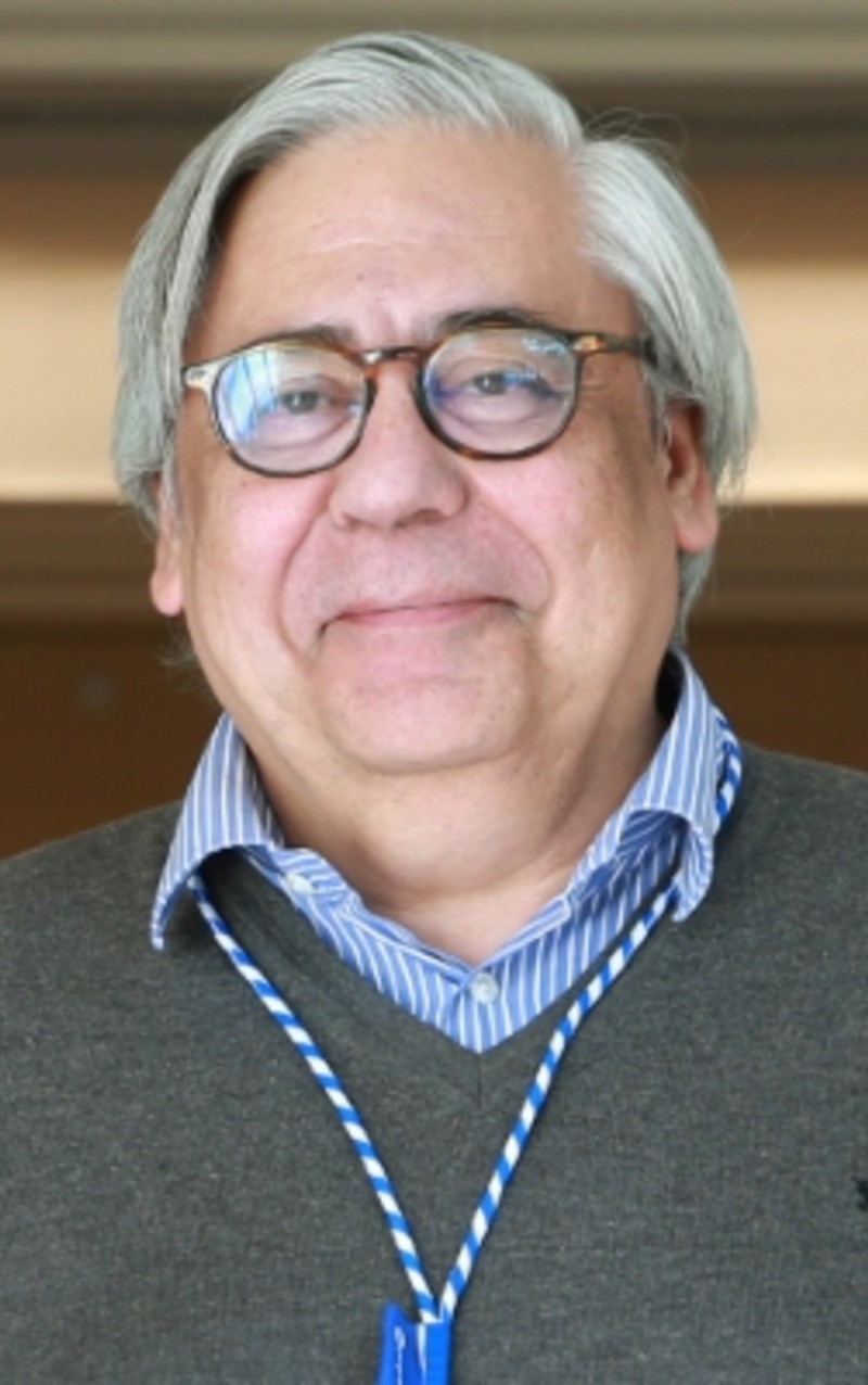 Prof. Doutor Luís Soares-de-Almeida